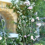 Maison Pierre D'or Apartamento *