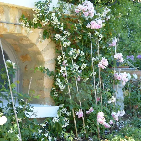 Maison Pierre D'or Apartment *