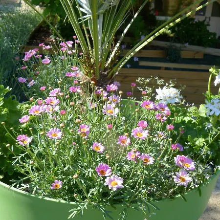 Apartamento Maison Pierre D'or Sarlat-la-Canéda