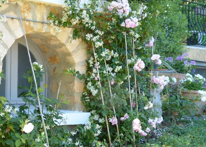 Maison Pierre D'or Lejlighed *