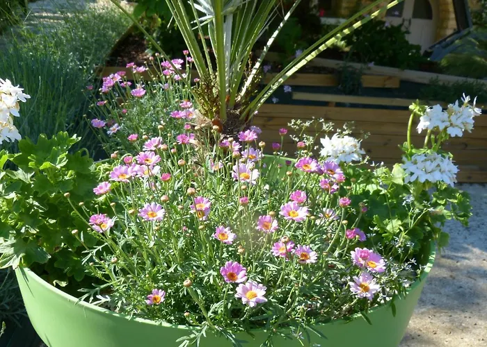 Apartment Maison Pierre D'or Sarlat-la-Caneda